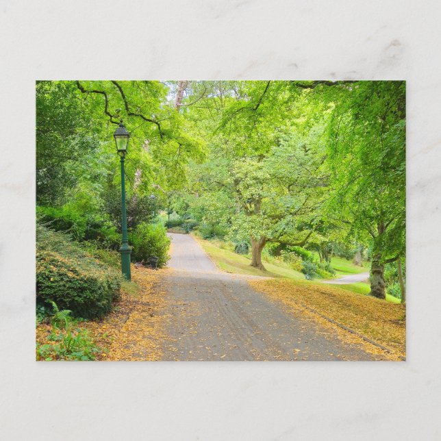 Postal Otoño (Anverso)
