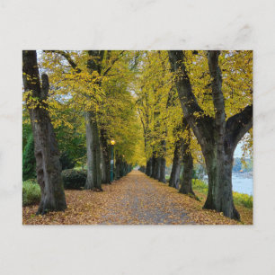 Postal Otoño