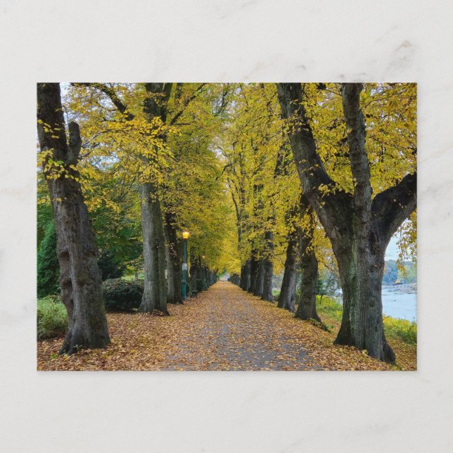 Postal Otoño (Anverso)