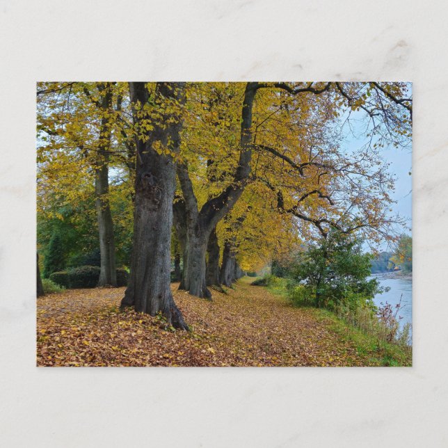 Postal Otoño (Anverso)