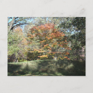 Postal Otoño