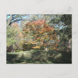 Postal Otoño