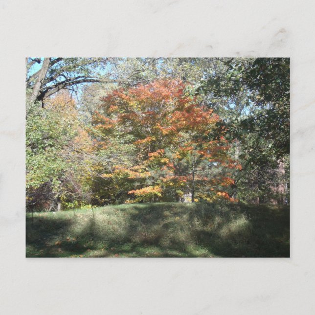 Postal Otoño (Anverso)