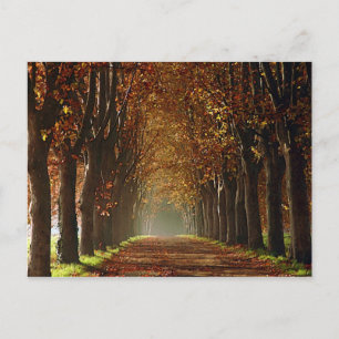 Postal otoño