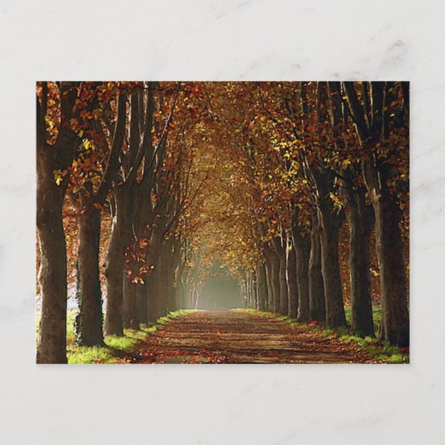 Postal otoño (Anverso)