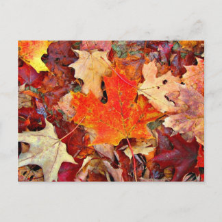 Postal Otoño