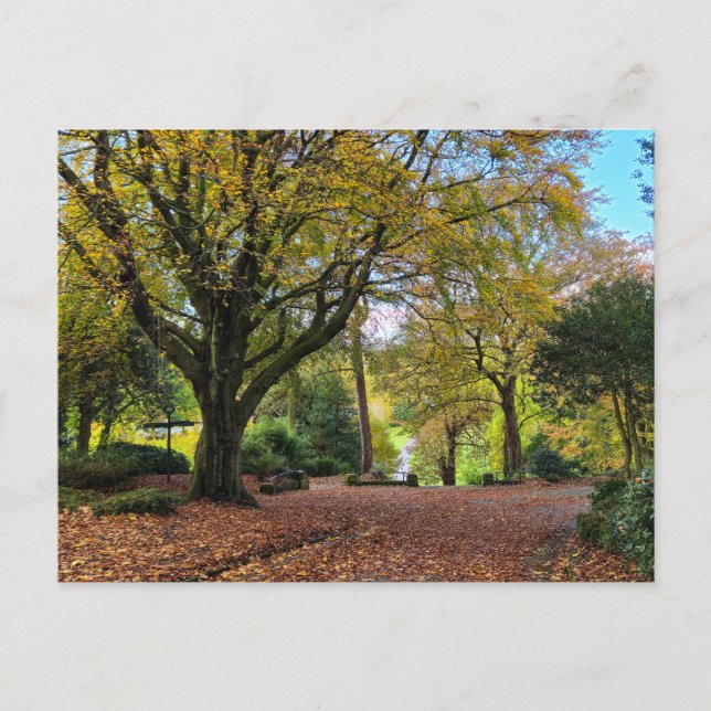 Postal Otoño (Anverso)