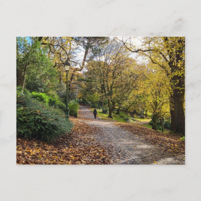 Postal Otoño (Anverso)