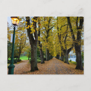 Postal Otoño