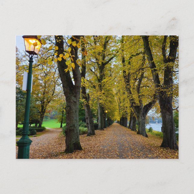 Postal Otoño (Anverso)