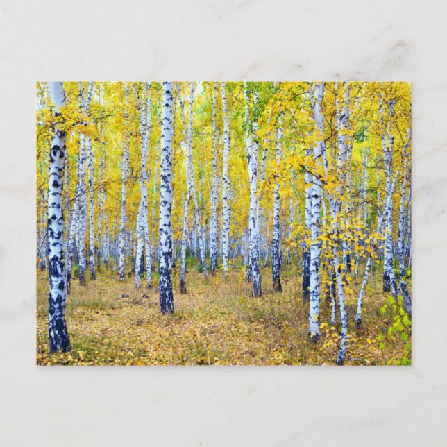 Postal Otoño (Anverso)