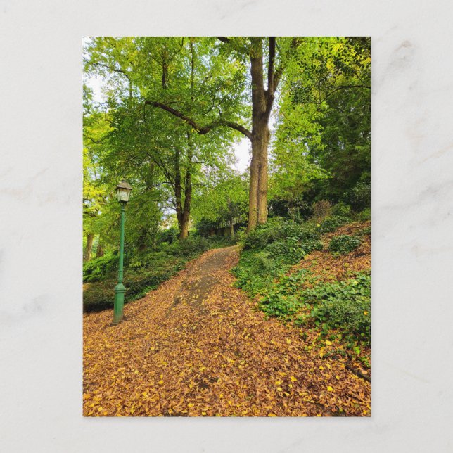Postal Otoño (Anverso)