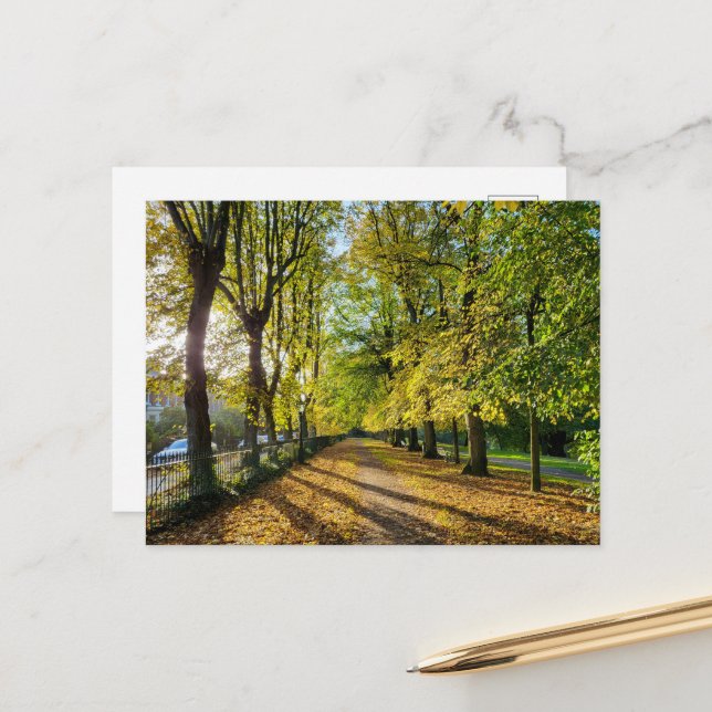 Postal Otoño (Anverso/Reverso In Situ)