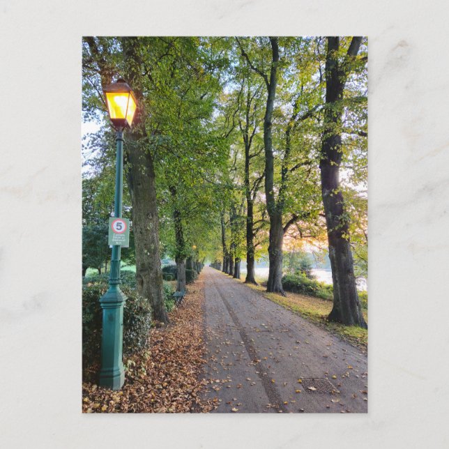 Postal Otoño (Anverso)
