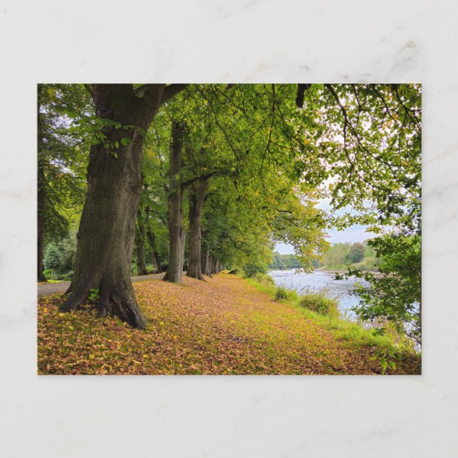 Postal Otoño (Anverso)