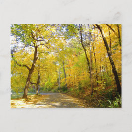 Postal Otoño Árboles 2004 Foto ... Bradley Park