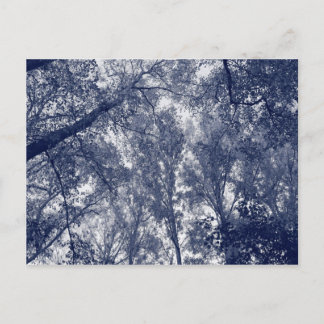 Postal Otoño Azul