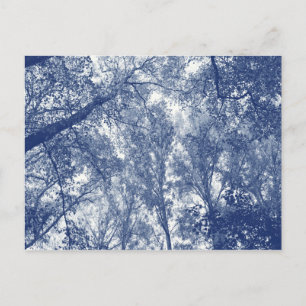 Postal Otoño Azul - Efecto Cianotipo