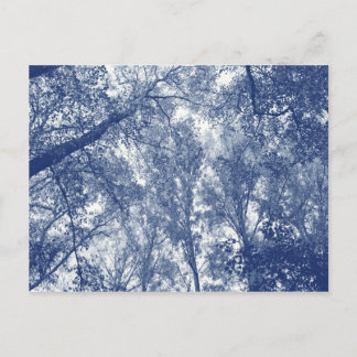 Postal Otoño Azul - Efecto Cianotipo
