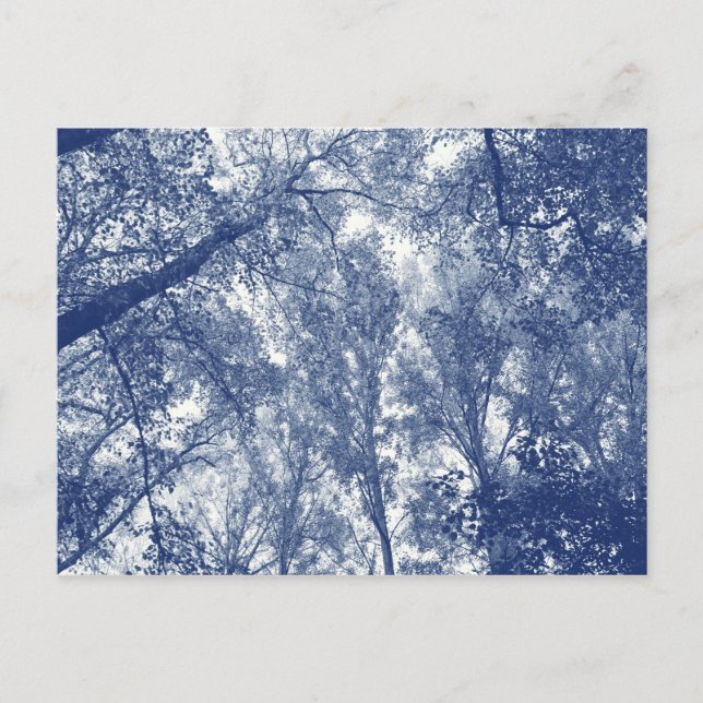 Postal Otoño Azul - Efecto Cianotipo (Anverso)