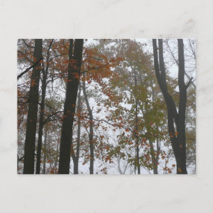 Postal Otoño Brumoso en la Naturaleza de Otoño de Pensilv