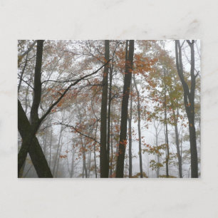 Postal Otoño Brumoso en la Naturaleza de Otoño de Pensilv