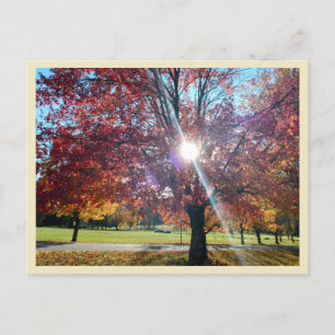 Postal Otoño de Allegany