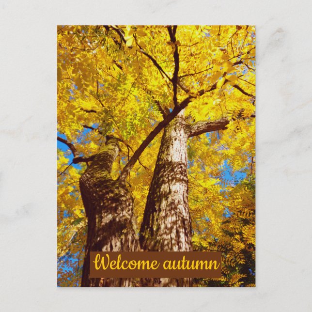 Postal otoño de bienvenida (Anverso)