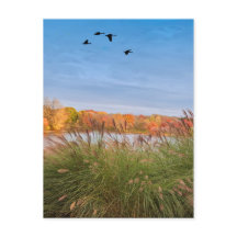 Otoño de Connecticut pintado