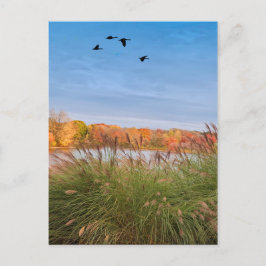 Postal Otoño de Connecticut pintado