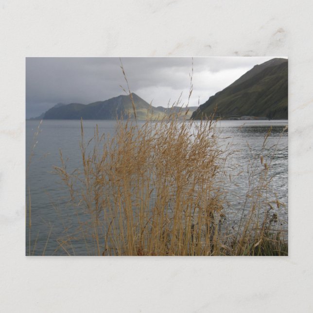 Postal Otoño de la bahía de Illiuliuk (Anverso)