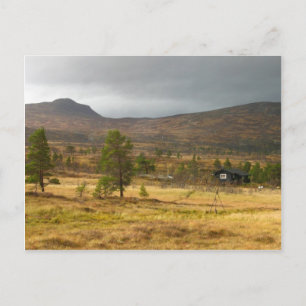 Postal Otoño de Oro en una meseta de montaña noruega