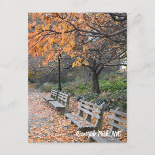 Postal Otoño deja Riverside Park New York City Photo