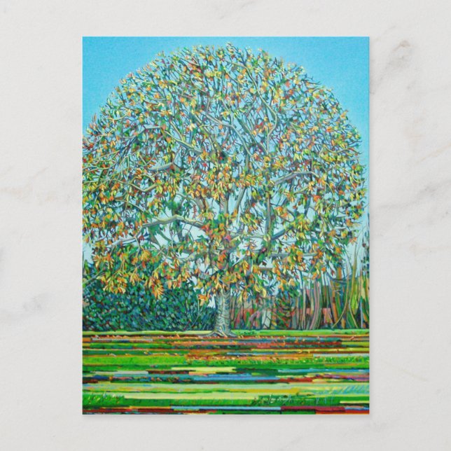 Postal Otoño del árbol del arco (Anverso)