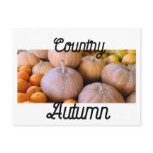 Otoño del mercado de las calabazas de los agricult