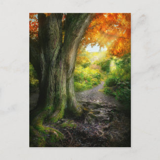 Postal Otoño - El camino a la casa de las granjas