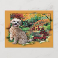 Otoño - El perro te ama más - Shihpoo - Maggie