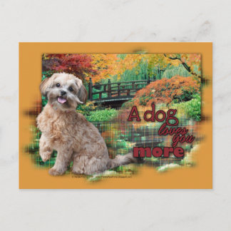 Postal Otoño - El perro te ama más - Shihpoo - Maggie