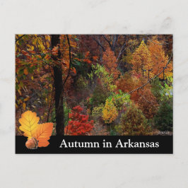 Postal Otoño en Arkansas / Fall Season Trees Fotografía