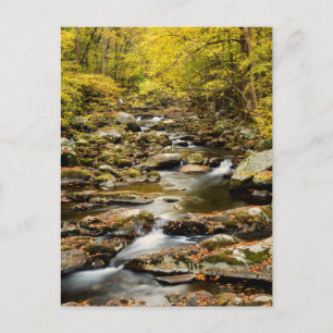 Postal Otoño en Big Creek