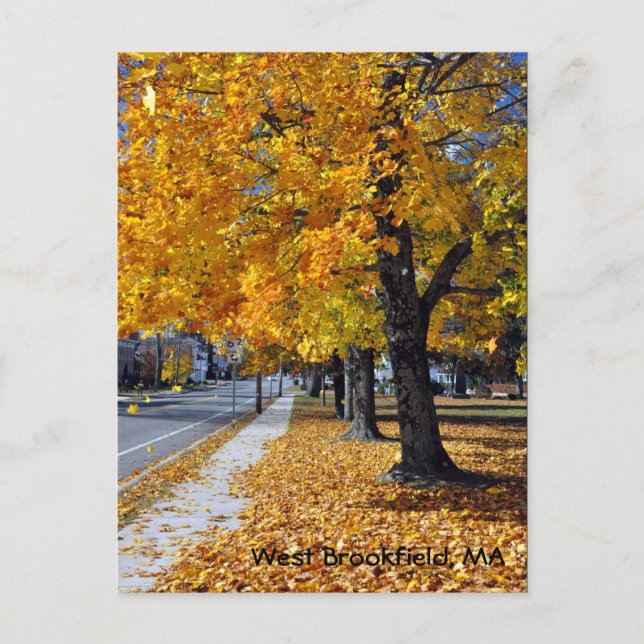 Postal Otoño en Brookfield Occidental, MAMÁES (Anverso)