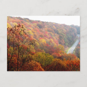 Postal Otoño en Carolina del Norte