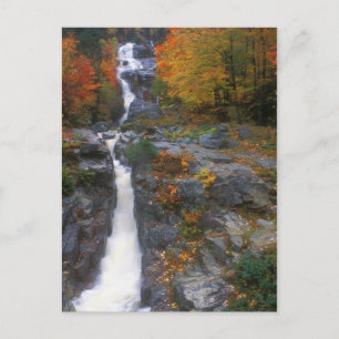 Postal Otoño en cascada de plata