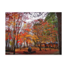 Otoño en Corea