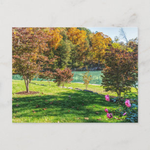 Postal Otoño En Dogwood Postcard