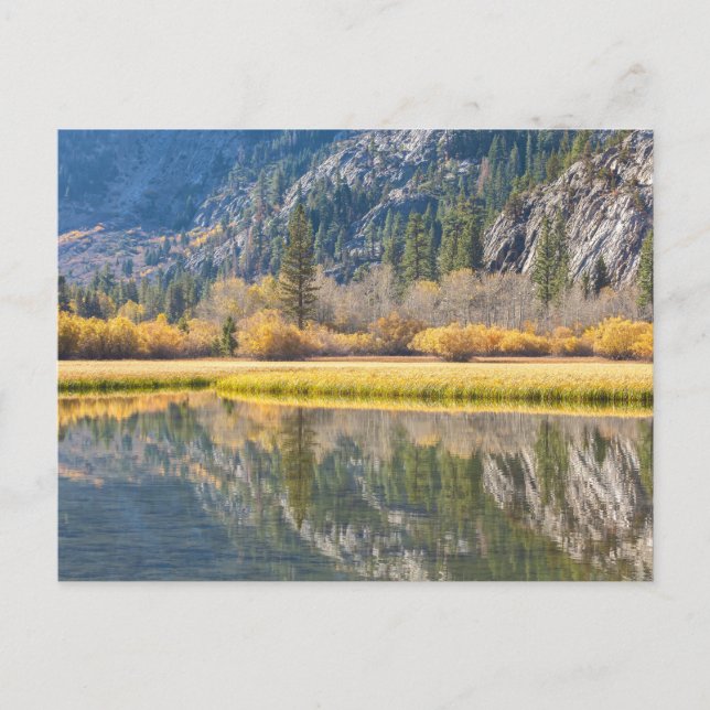 Postal Otoño en el lago (Anverso)