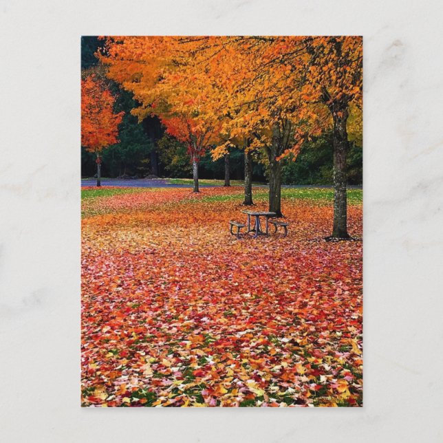 Postal Otoño en el parque (Anverso)