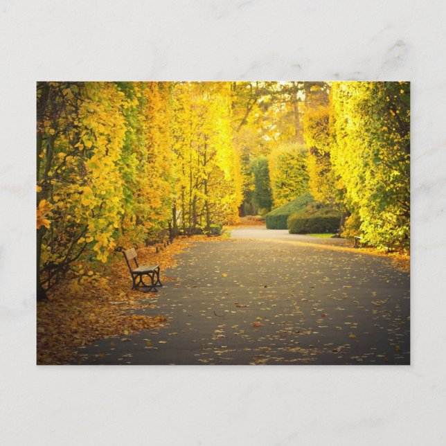 Postal Otoño en el parque de Gdansk, Polonia (Anverso)