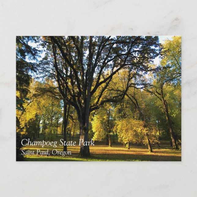 Postal Otoño en el Parque Estatal de Champoeg, Oregón (Anverso)