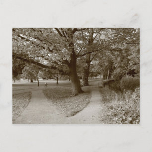 Postal Otoño en el parque - Sepia Toned BW